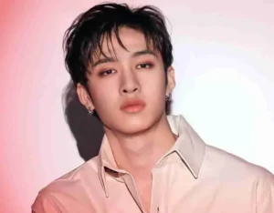 Bang Chan Net Worth