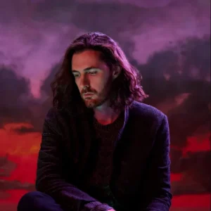 Hozier Net Worth Exploring A Deep Dive into His Fortune