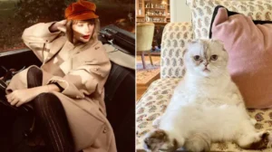 Taylor Swift's Cat Net Worth