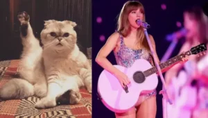 Taylor Swift's Cat Net Worth