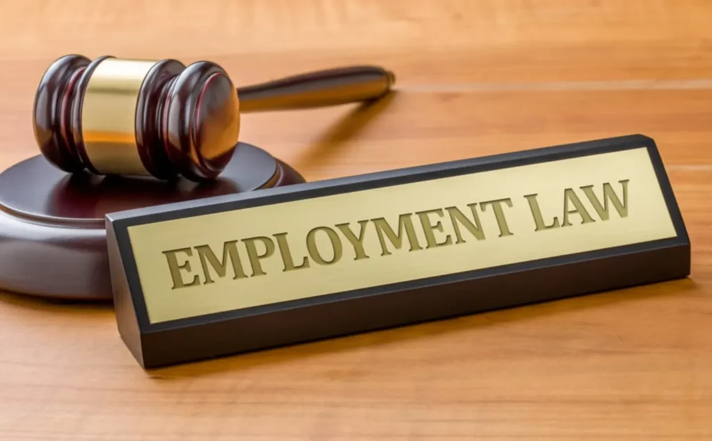 A Guide to Employment Law Workers’ Rights in 2024