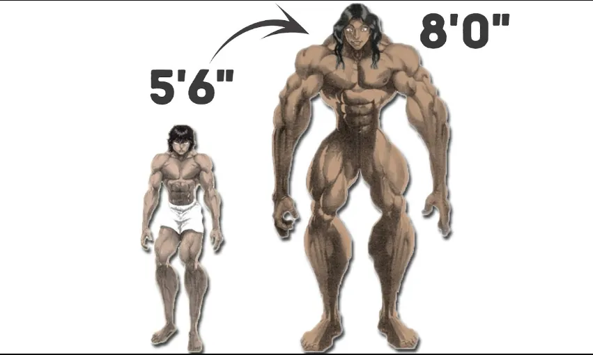 Pickle Baki Height 