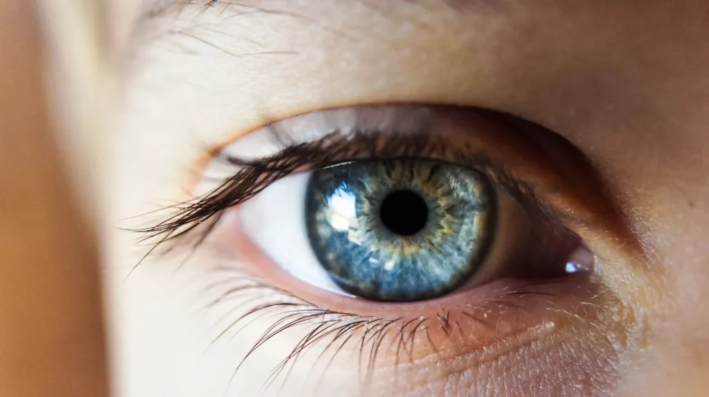 What is Living With Eye Cancer Like Stories of the Rarest of Cancers