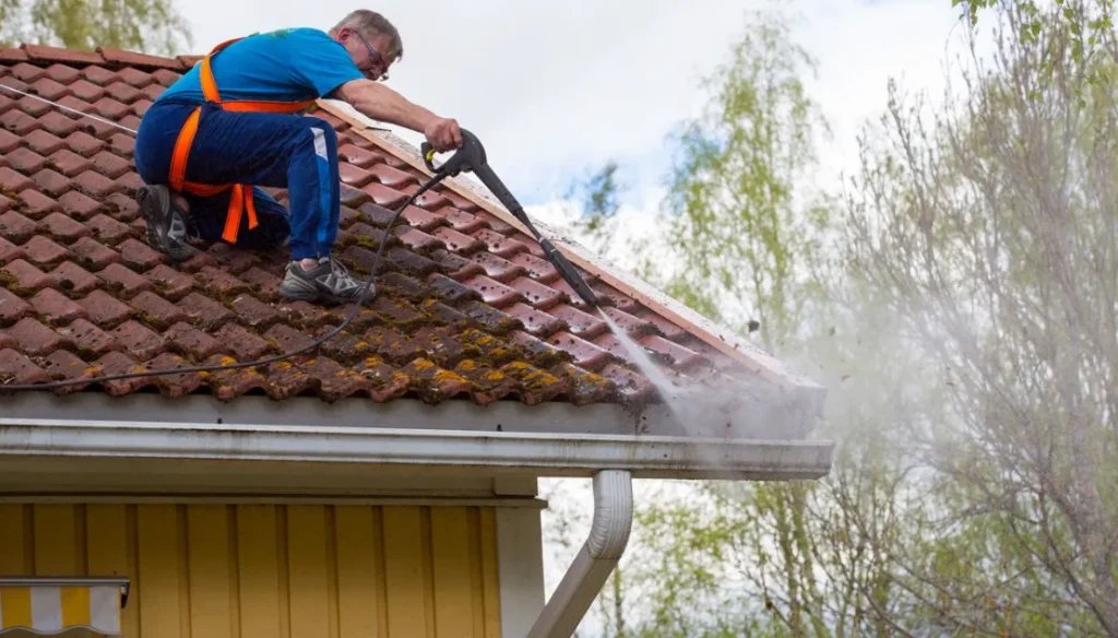 The Importance of Gutter and Roof Care Insights from a Wisconsin Roofing Expert